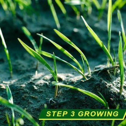 Biodegradable_Grass_Seed_Mat_Gallery_Img4-min