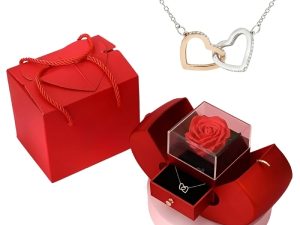 Ogrlica HEARTS s prepletenimi srčki in brezplačno darilno škatlo - HEARTS_APPLEROSE