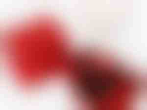 Ogrlica HEARTS s prepletenimi srčki in brezplačno darilno škatlo - HEARTS_APPLEROSE