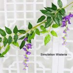 WISBLOOM