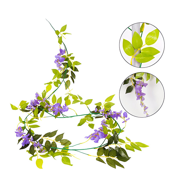WISBLOOM