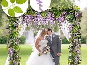 Plezalka s cvetovi glicinije | WISBLOOM