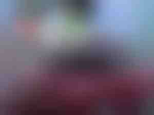 Najboljša poletna zaščita za avtomobile! | CARCOVER