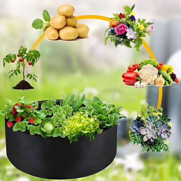 PLANTIE14805__637db2ea