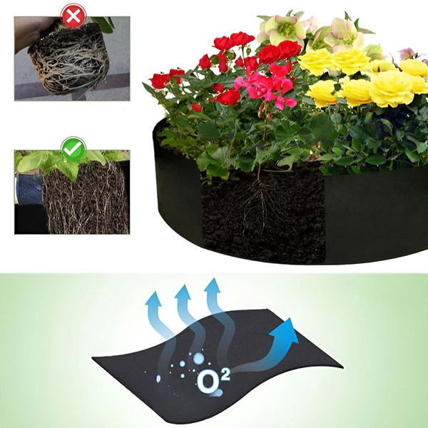 PLANTIE16036__4cba9f96