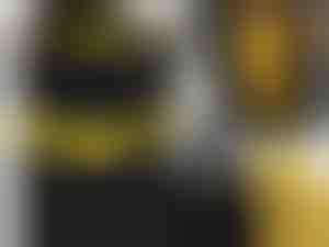 Deco haus® Koš za smeti (90-120L) - Stojalo za vrečke za smeti - koš za vrečke za smeti - Koš s pokrovom - Sistem za kuhinjske odpadke - Robustno stojalo za vrečo za smeti - ČRNA